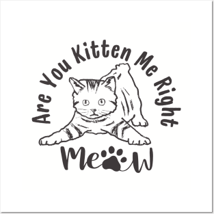 Are You Kitten Me Right Meow Funny Cat Lover Quote Posters and Art